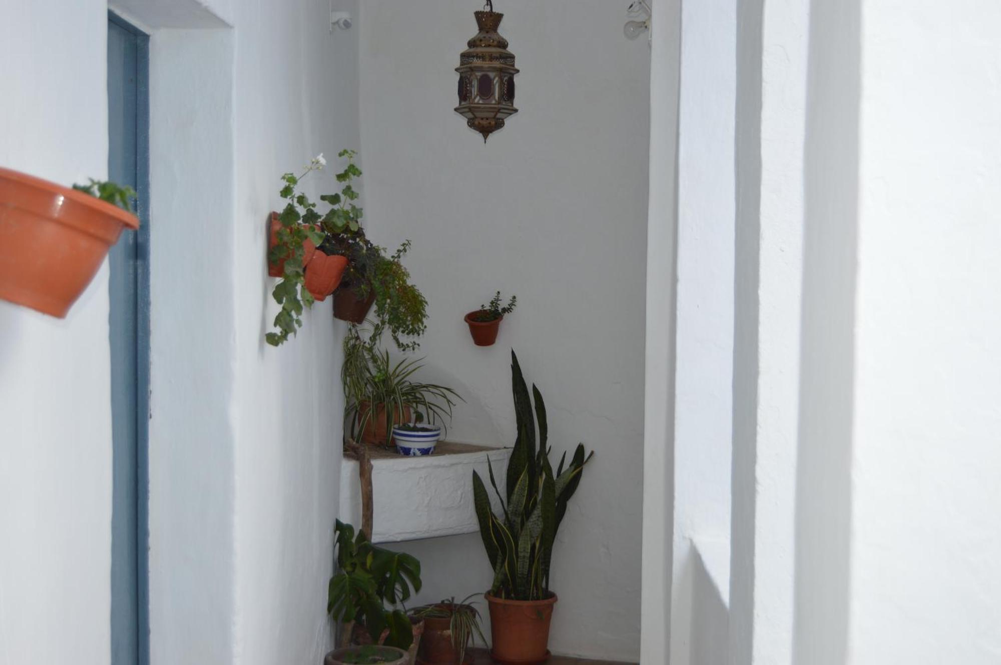 Nuestra Casa En Vejer Appartement Vejer de la Frontera Buitenkant foto